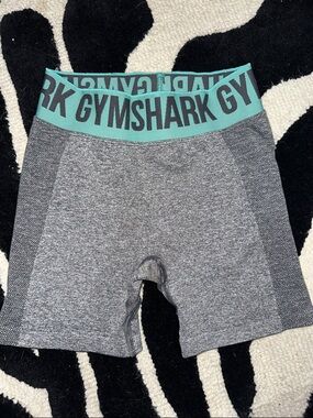 Gymshark Gray Seamless Bike Shorts with Teal Logo Waistband